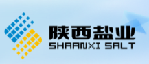陕西盐业
